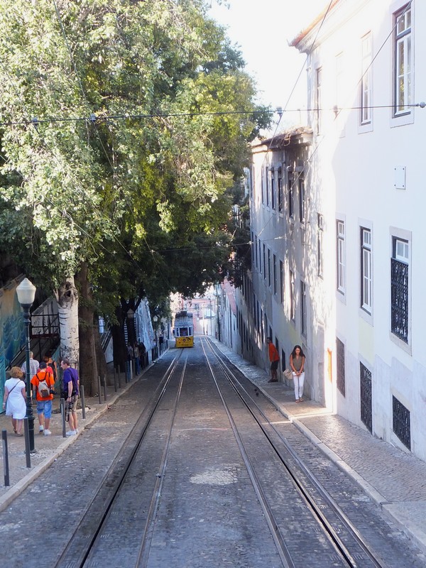 Lisbonne Lisboa belvédère mirador sao pedro de alcantra