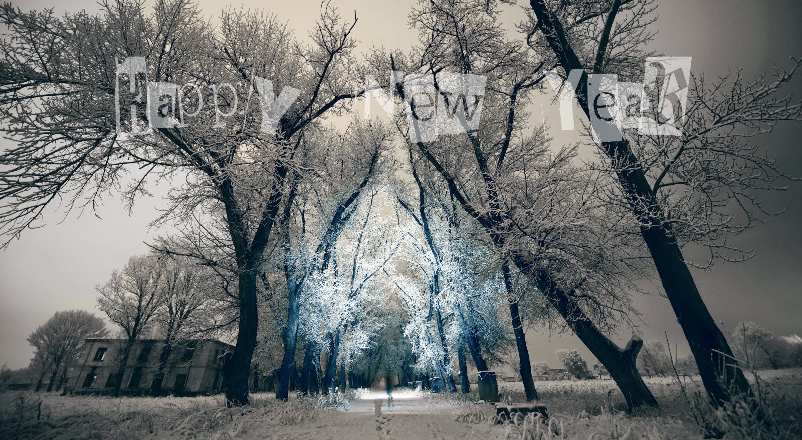 Happy New Year 2014 HD Wallpapers - 1600 x 900 High Resolution