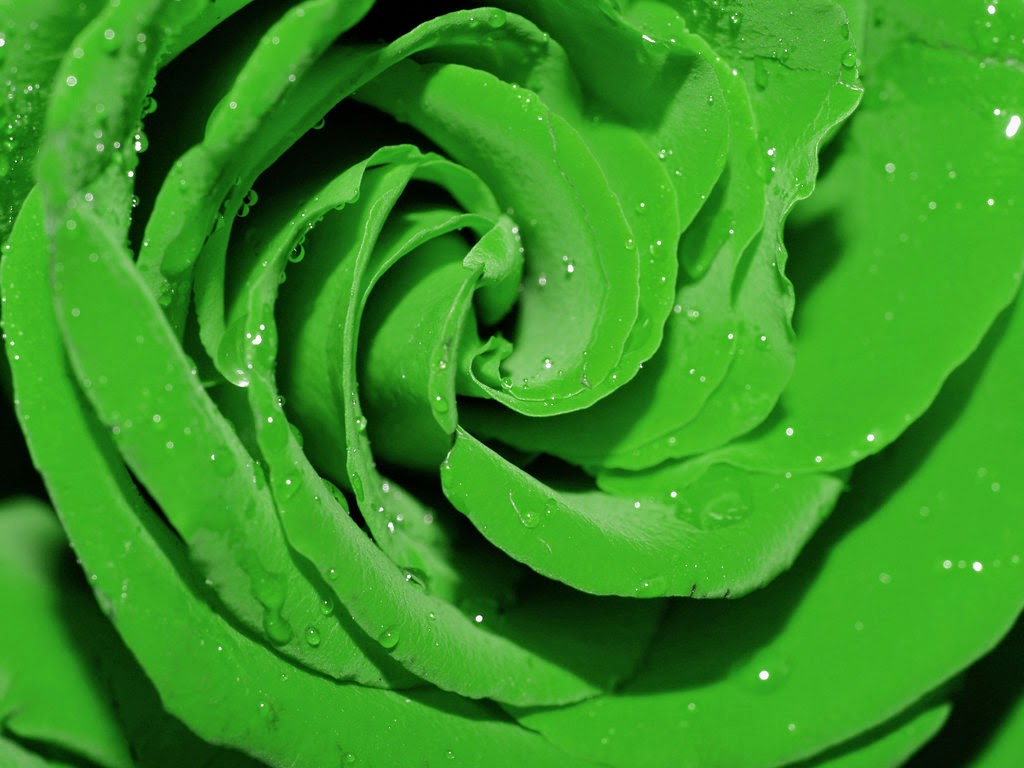 Catatan Hijau LiLa Macam Macam Warna Hijau