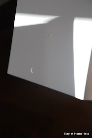 diy pin hole camera for an eclipse