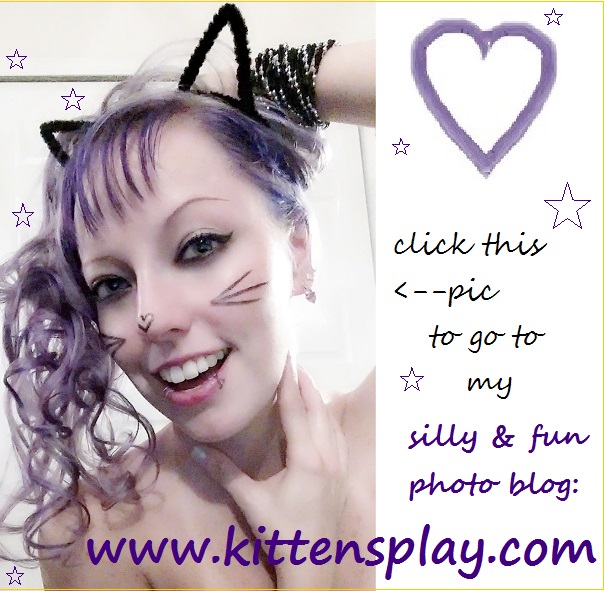 my kitten pics blog