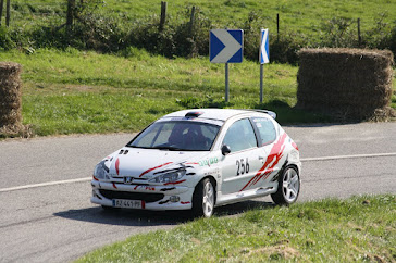 206 rc 2011