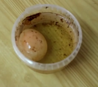 Experimentos Caseros huevo saltarín vinagre