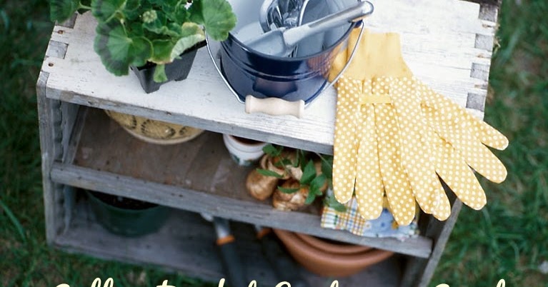 Gardening with Red Hill: Using 5 Gallon Buckets in a Container Garden