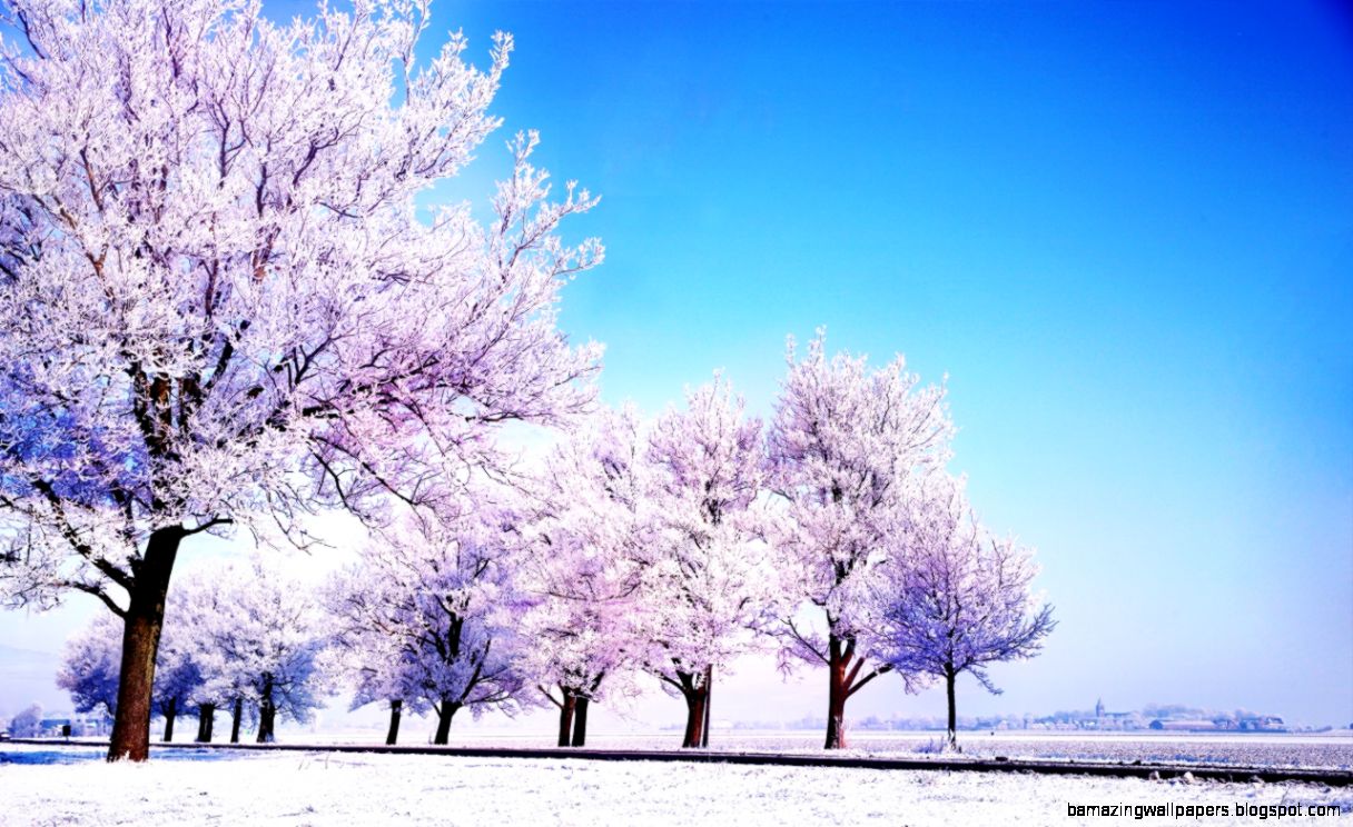 Winter Background HD desktop wallpaper High Definition Winter Background HD desktop wallpaper High Definition