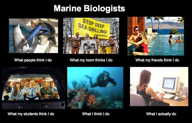 Marine Biologists