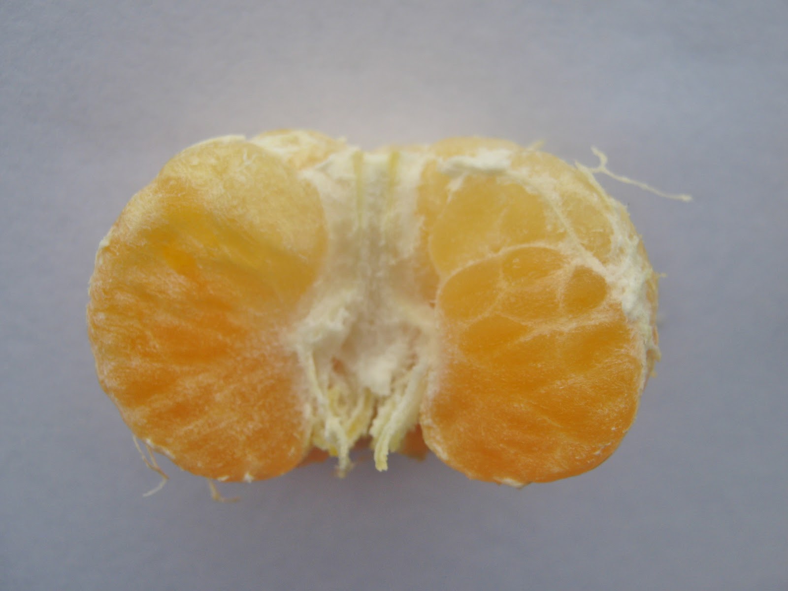 Garden Guy Hawaii Dry, Flavorless Citrus?