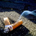Câmara pode aprovar multa para quem jogar filtro de cigarro no chão