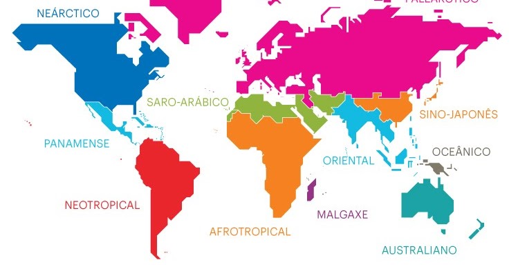 View Brazil En El Mapa Mundi Gif
