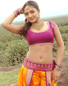 South-Actress-Sheela-Hot-Wallpapers South-Actress-Sheela-Hot-Wallpapers