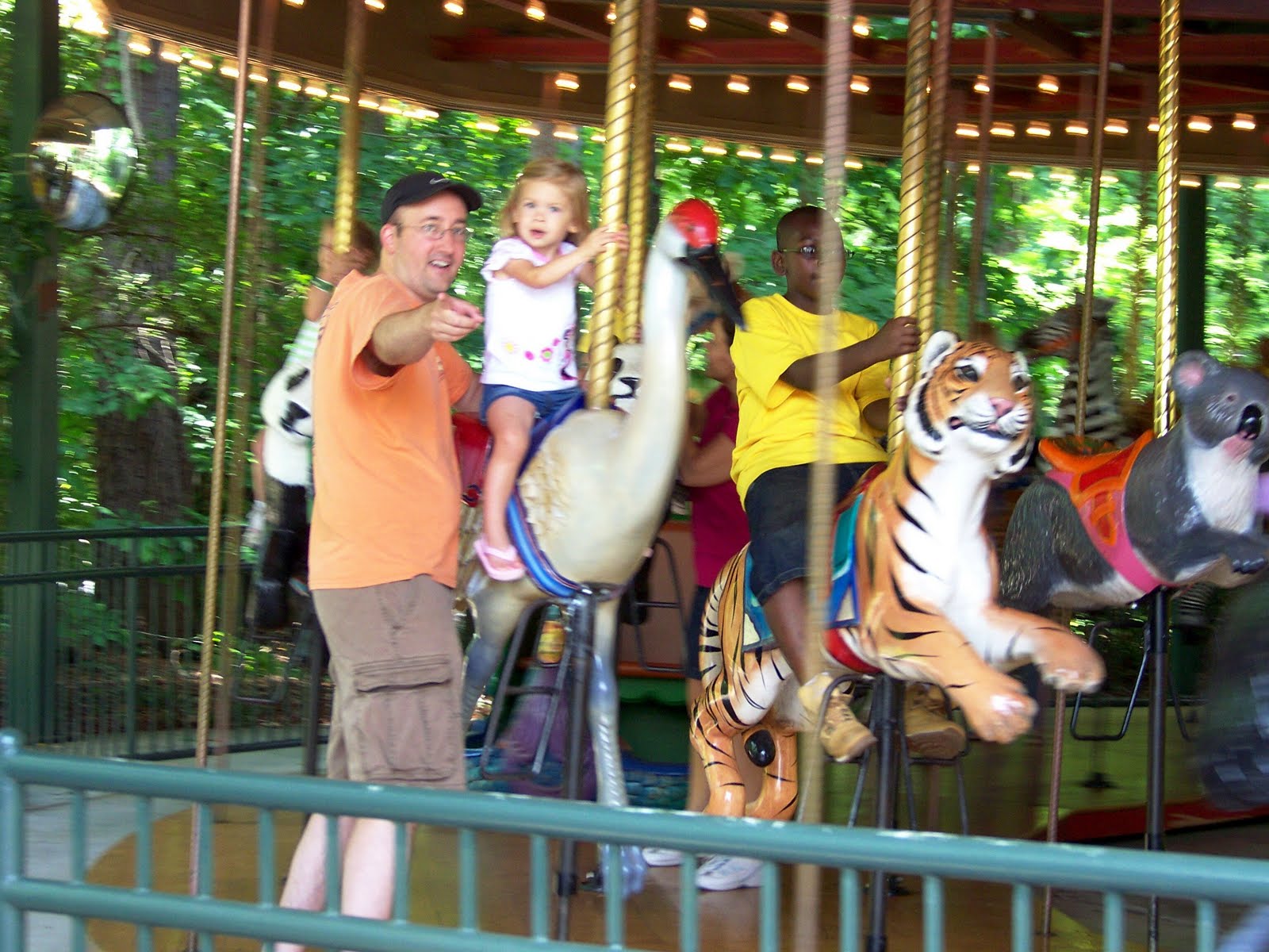 The Byrd Nest Riverbanks Zoo