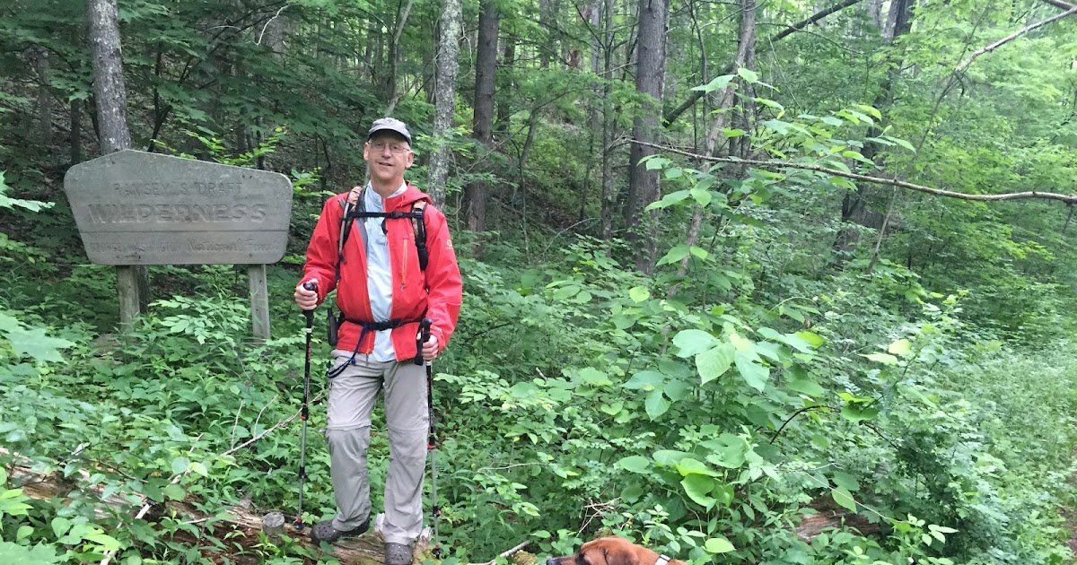 Wandering Virginia Ramsey's Draft Wilderness June 2015