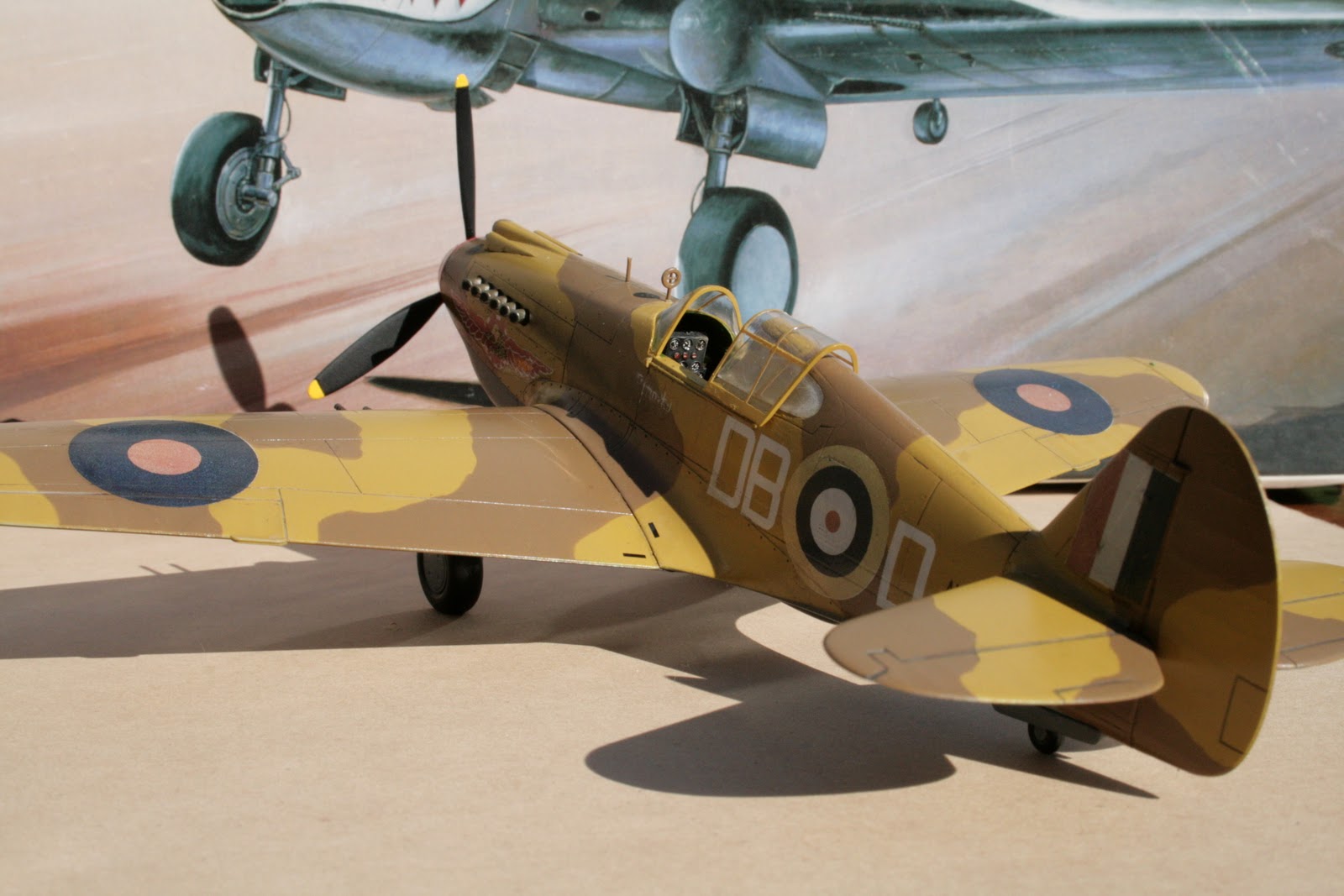 The South African Air Force In Scale Curtiss P40 Tomahawk Mk.IIB