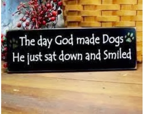 The Day God Made Dogs