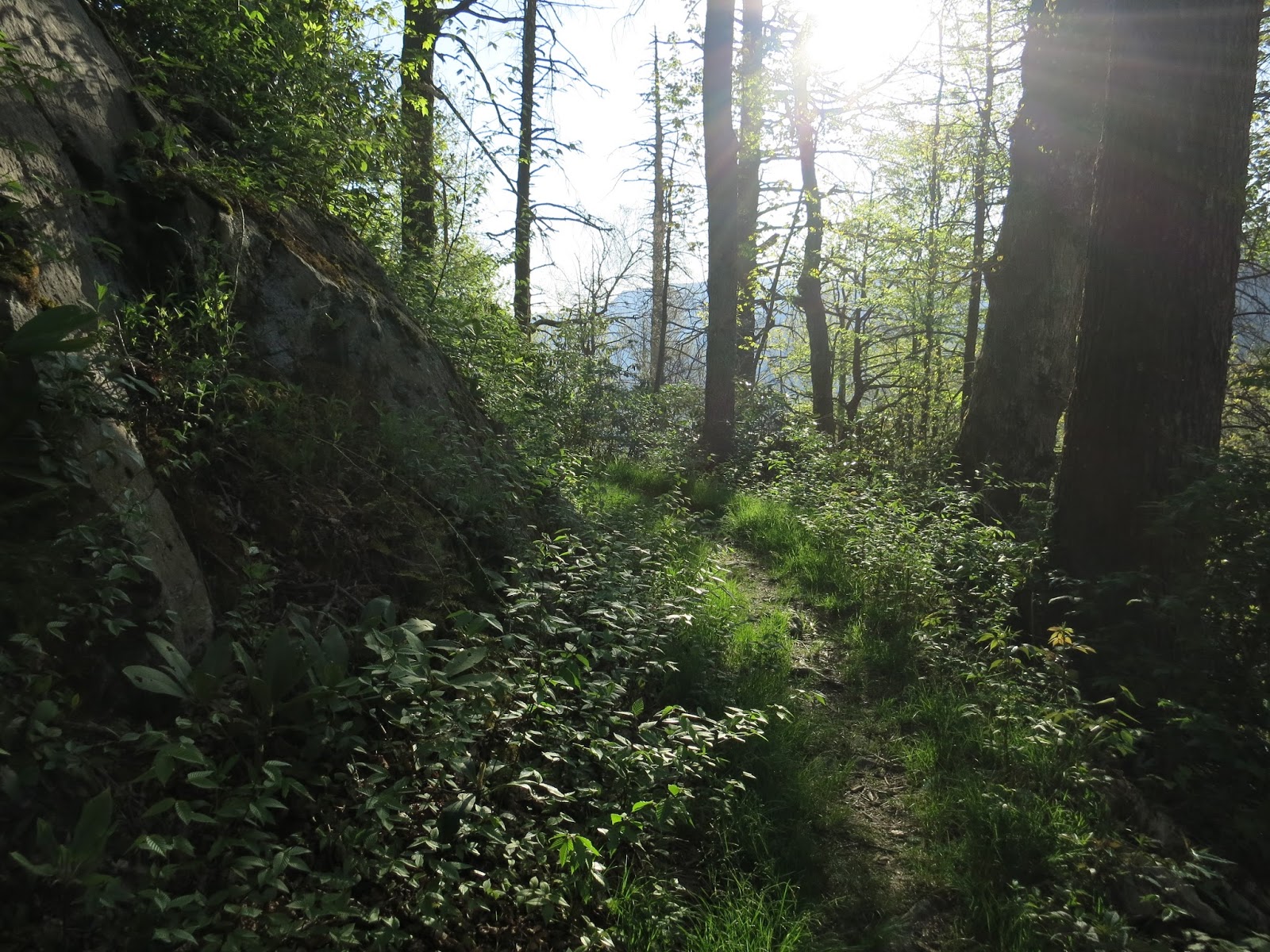 Come Along With Chong: Snake Den Ridge - Appalachian Trail - Low Gap Loop