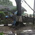 Disapu Lesus, Pohon di Jalan Depan Yonif 410/Alg Blora Tumbang