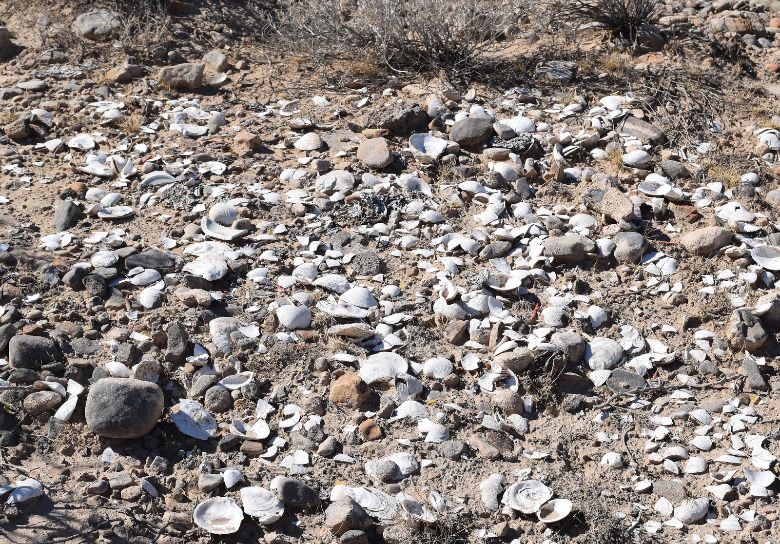Vegas Girl In the Badlands of the Tule Springs Fossil Beds National
