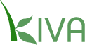 Helfen mit Kiva