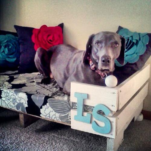 El perro moderno: camas para perros con palets