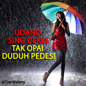 DP BBM lucu dalam bahasa jawa | dulayex blog