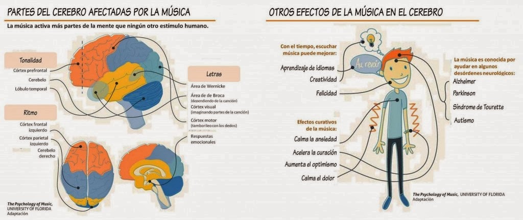 Efectos de la música en el cerebro humano