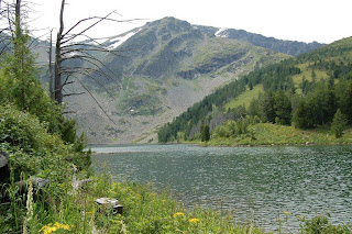 DSC_4707.jpg