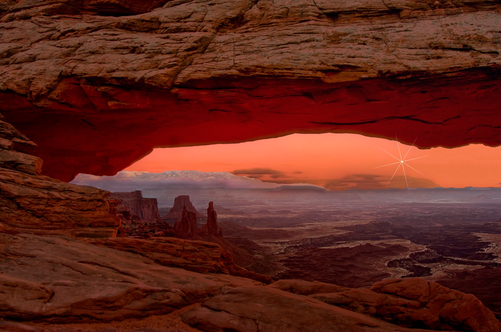 Rise of the Planet of the Apes 2011 - Rotten Tomatoes