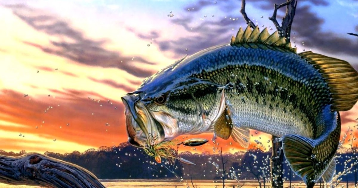 Largemouth Bass Painting | Wallpapers Gallery