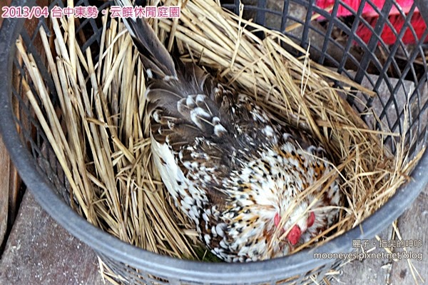 [吃遊] 台中東勢-云饌休閒庭園。往谷關路上的風景美爽好餐廳