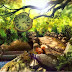 Fantasy Forest 3D Pro lwp APK Free Download