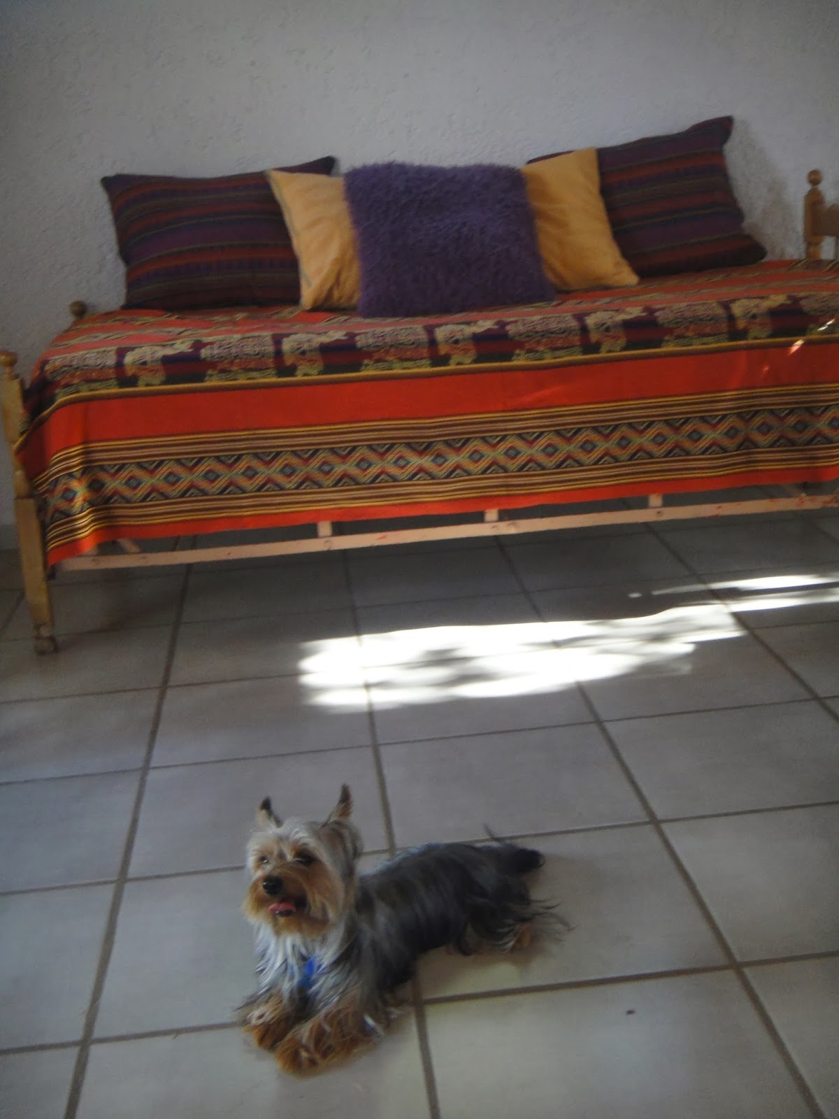 el tiempo en san javier