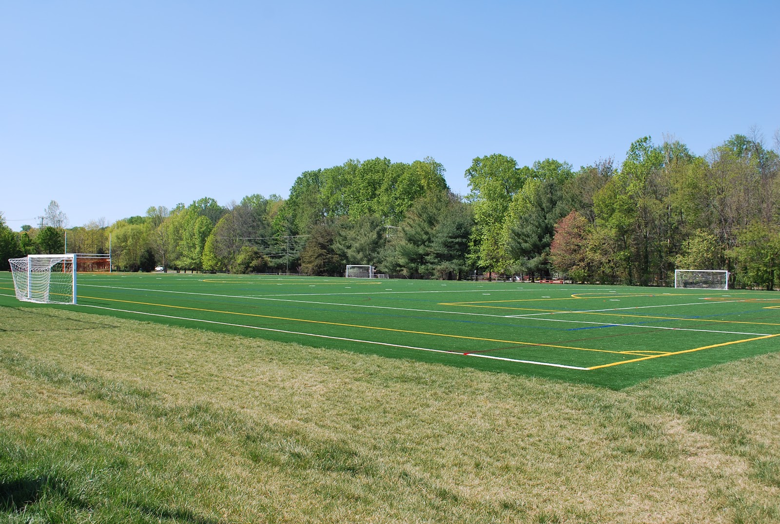 The Next Best Thing..... Spring Hill Park in Mclean, VA!