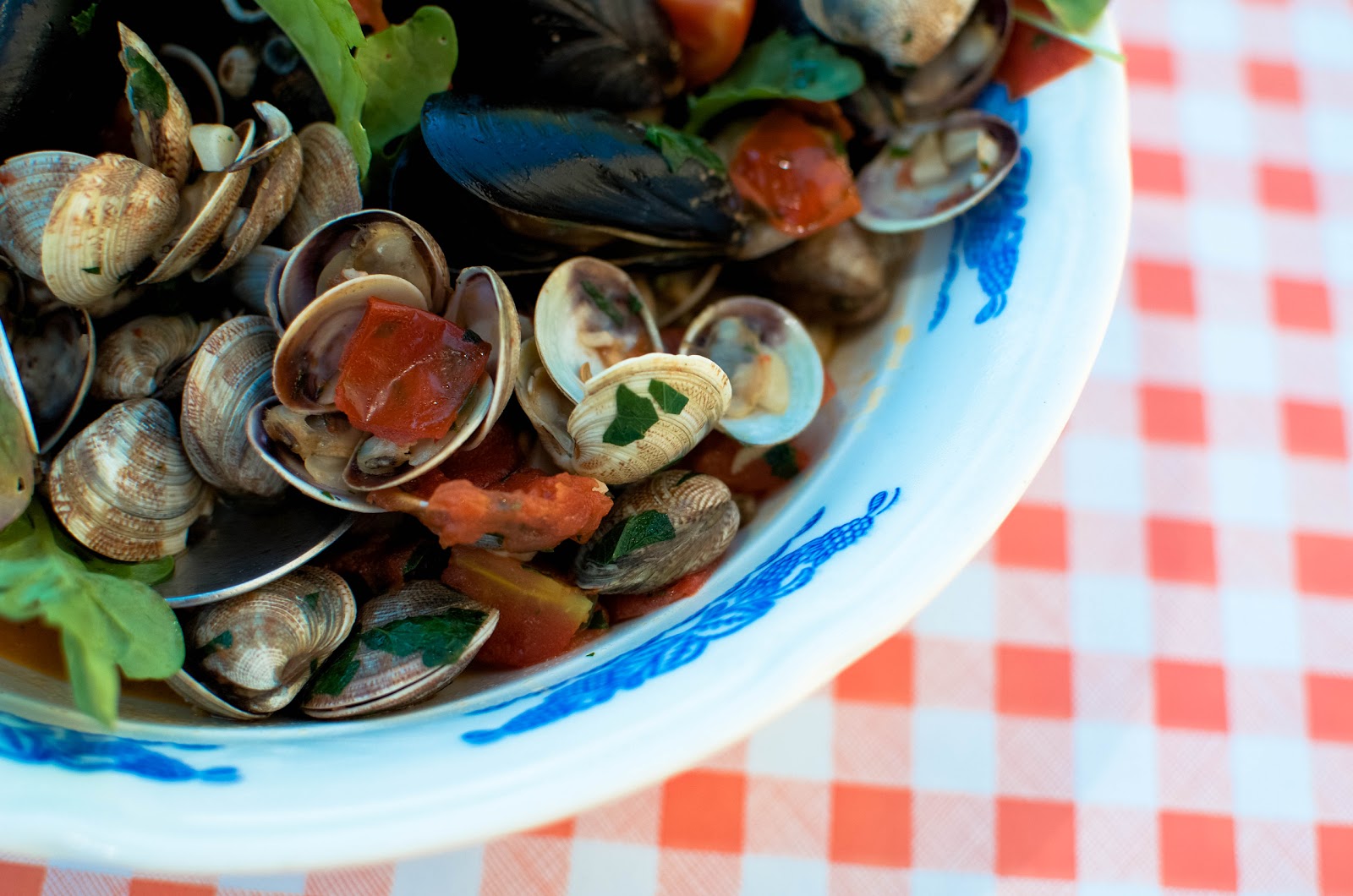 Recipes from the Sea Mussels & Clams in White Wine {Cozze e Vongole