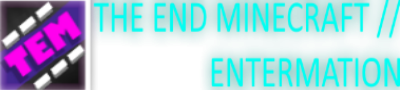 THE END MINECRAFT