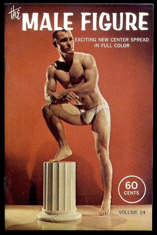 david hasselhoff gay fan fiction gay harry potter