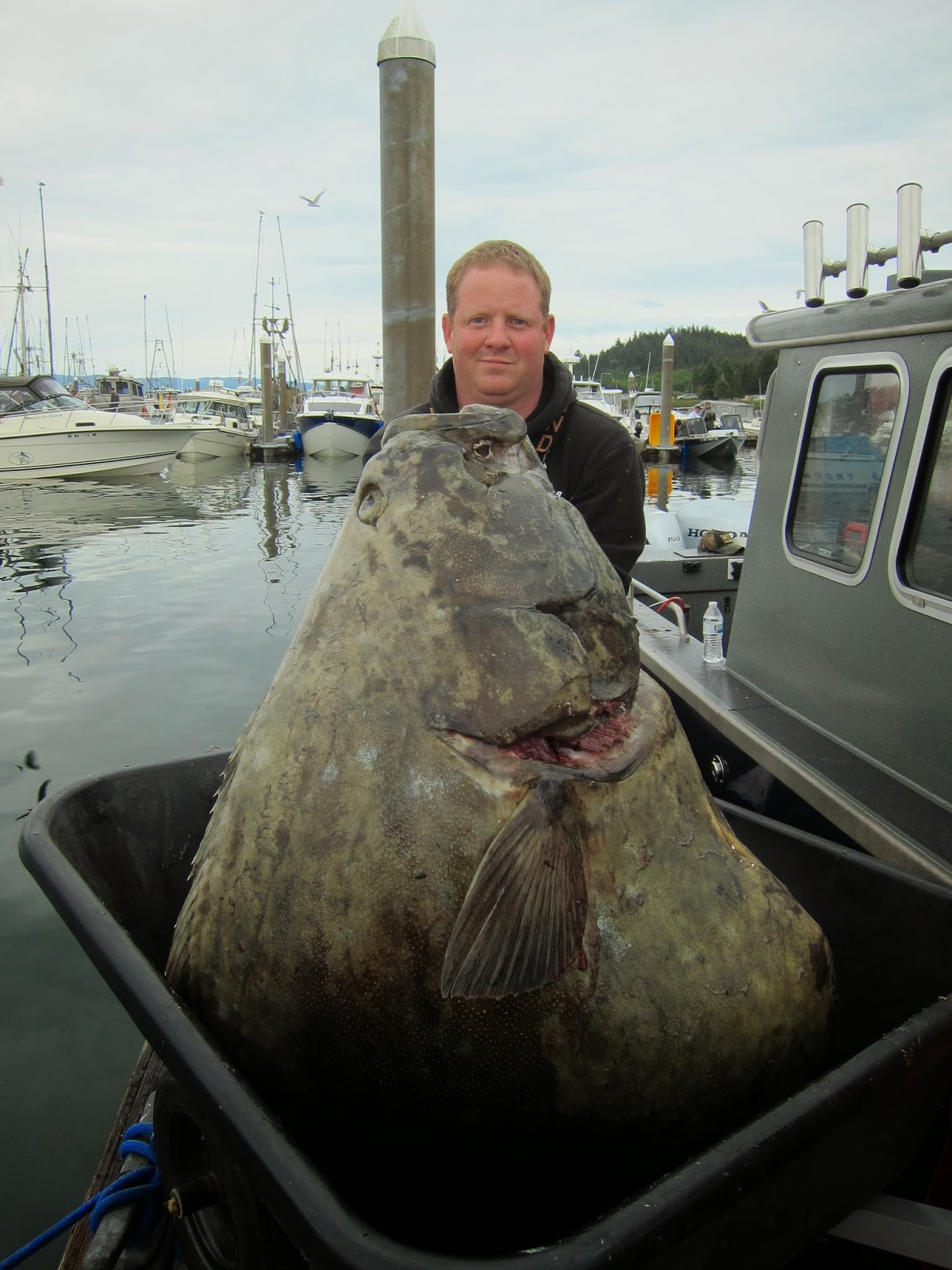 Todds Extreme Fishing Great fishing at Neah Bay!