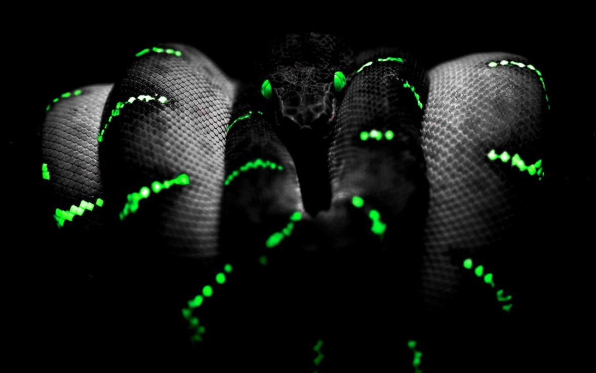 Scary HD Wallpapers Wallpaper Cave Scary HD Wallpapers Wallpaper Cave