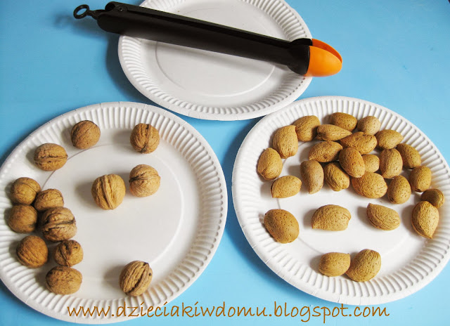 segregowanie orzechów, ćwiczeniu małej motoryki