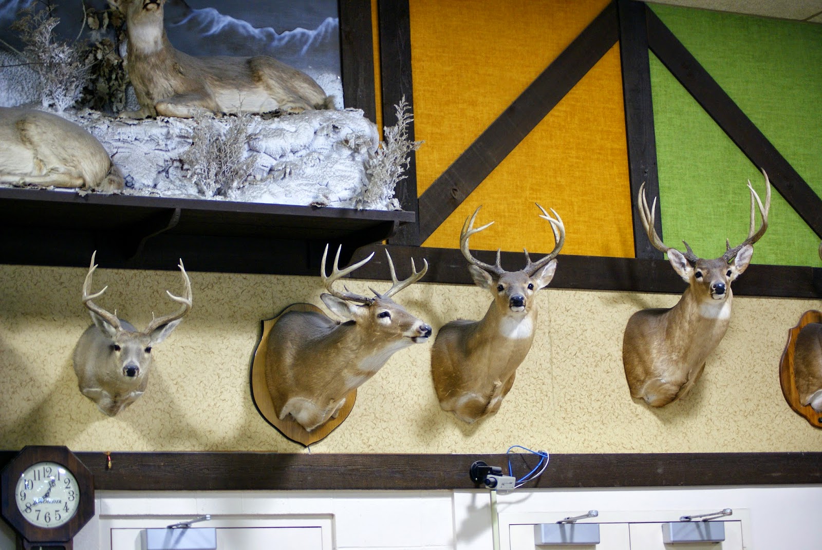 Southern In Law SILintheSouth The Quinessential Southern Experience?