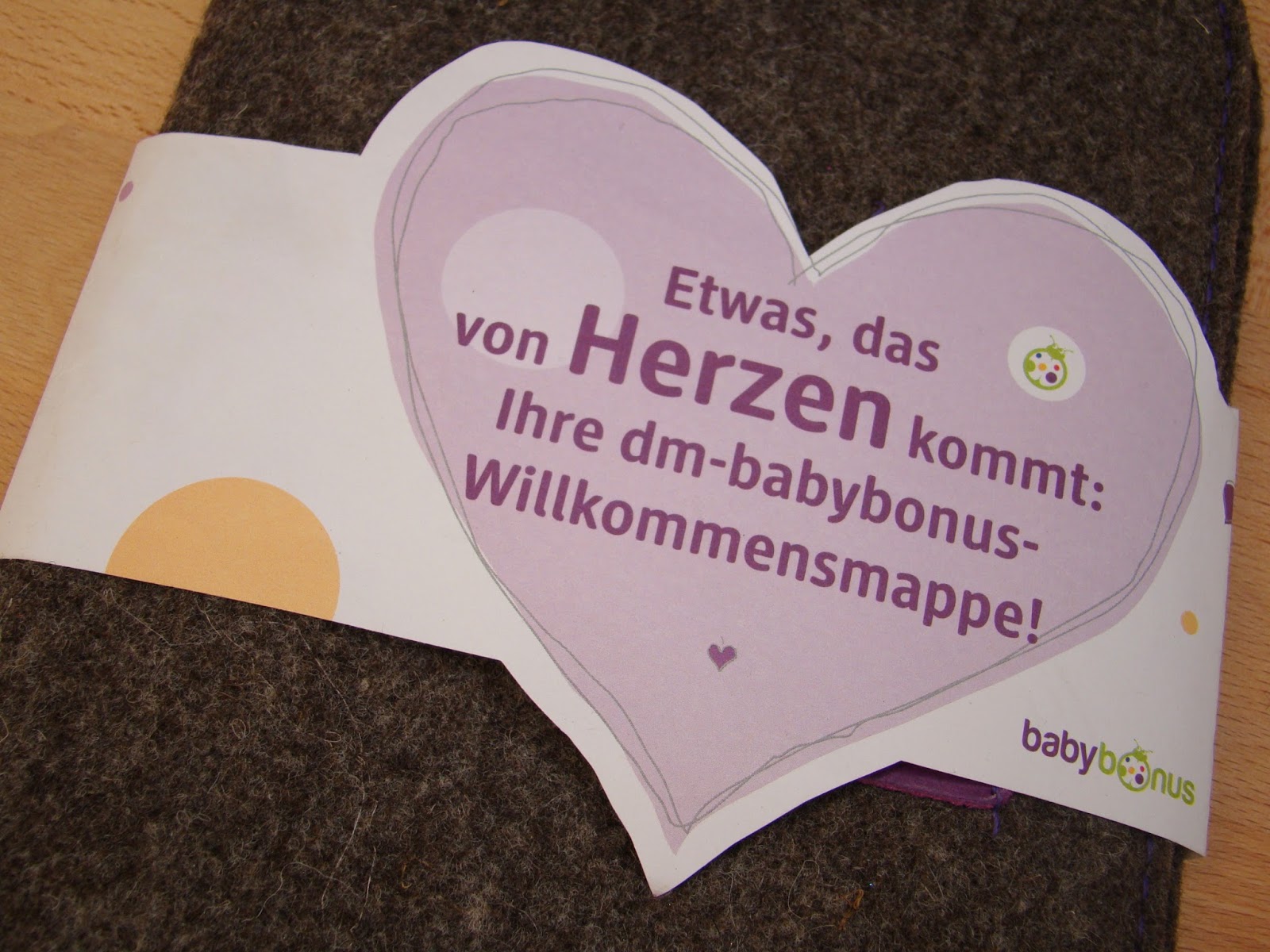 Schwangerschaft Dm Babybonus