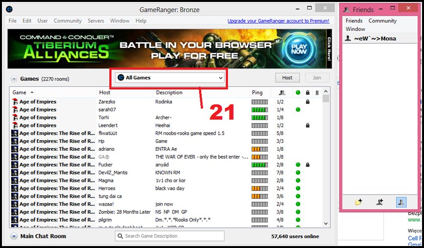 gameranger has encountered a problem gameranger has encountered a problem