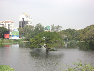 Pond_at_Chetput1.JPG