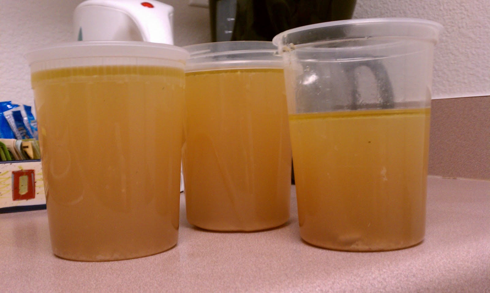 Chicken Broth Quart Frozen Wiltshire Pantry Hot Sex Picture