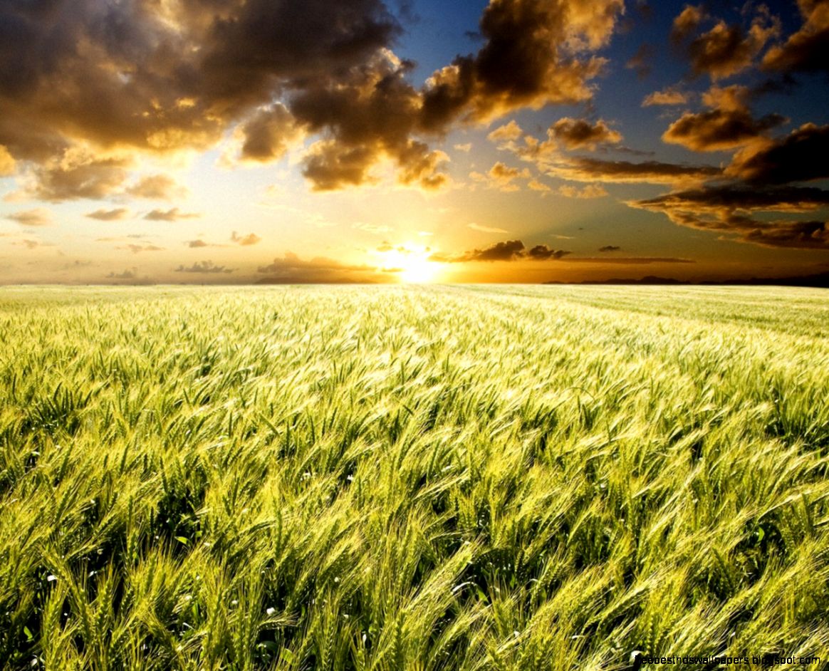 Nexus Wallpaper Nature images Nexus Wallpaper Nature images