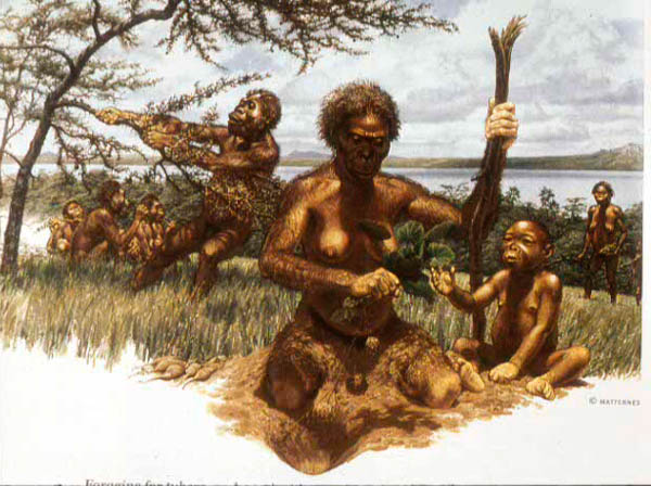 FAMILIA FRUTOS familia frutos: