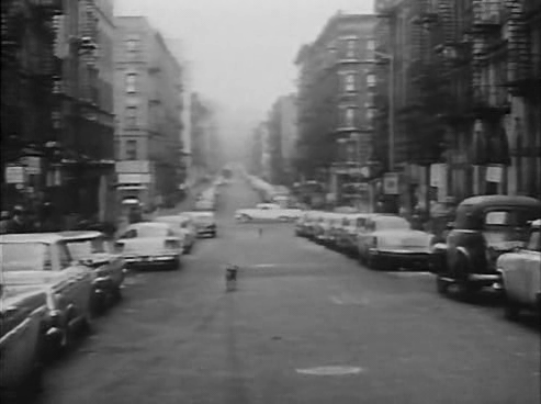 vendredi 8 juillet 2011