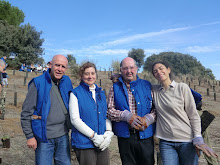 plantando árboles en la Casa de Campo