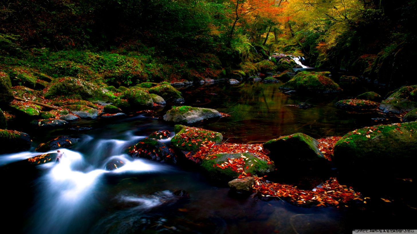 Autumn Forest River HD desktop wallpaper Widescreen High Autumn Forest River HD desktop wallpaper Widescreen High