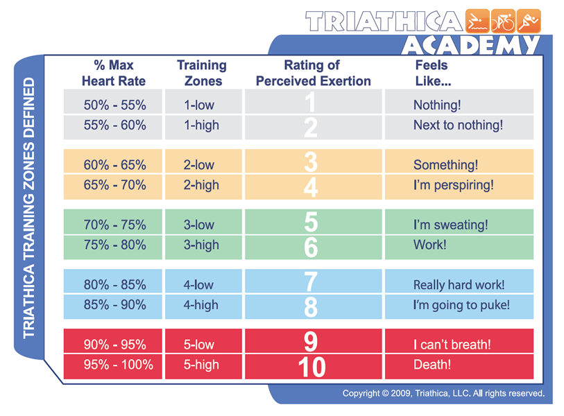 Fitness By Alicia Sprint Triathlon Training