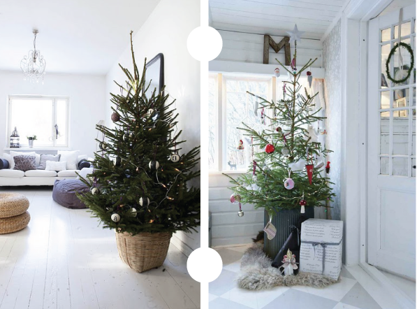 the plumed nest pins of the week potted christmas tree the plumed nest pins of the week potted christmas tree